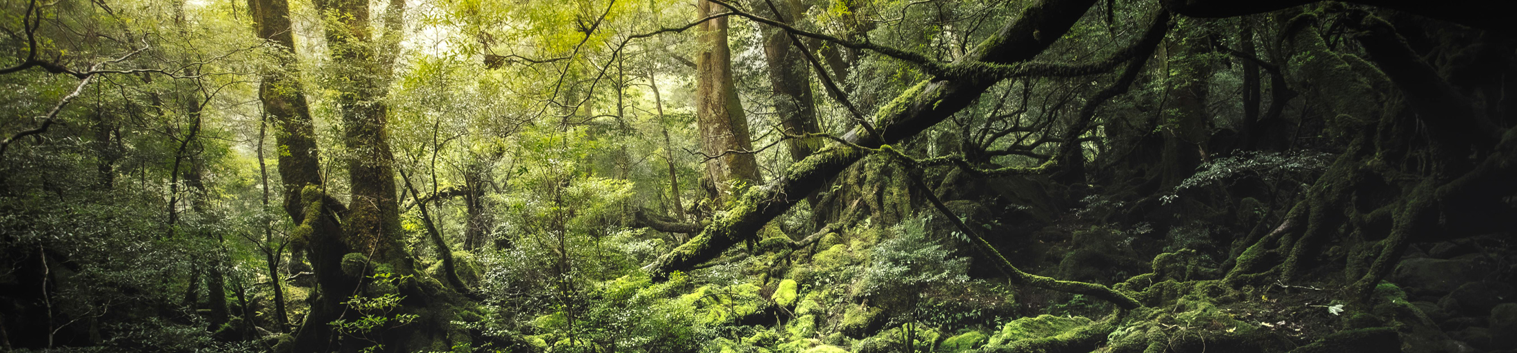 Polliculture Landscape Architecture Banner