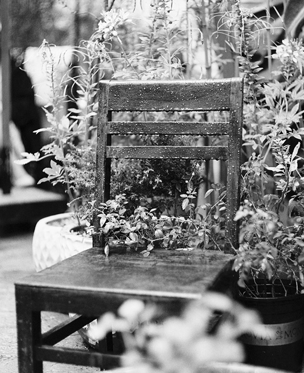 Polliculture Landscape Design Ethos