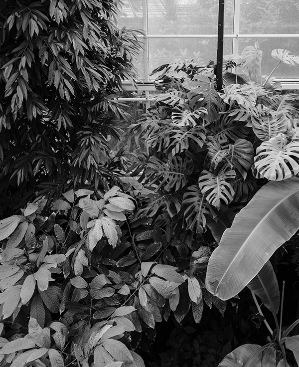 Sustainable Landscape Design Architecture Singapore